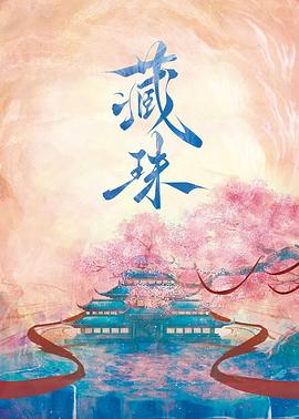 藏珠第02集